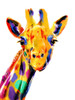 Coloful Giraffe Poster Print by OnRei OnRei # ONRC284A