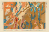 Nevada Plateau Nevada - King 1876 Poster Print by King King # NVPL0001