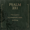 Psalm 231 Swamp Poster Print by Milli Villa # MVSQ583B2