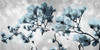 Blue Bloom Poster Print by Mlli Villa # MVRN102A
