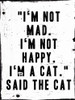 Said The Cat Poster Print by Milli Villa # MVRC684B