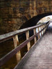 Looking Down The Pier Poster Print by Milli Villa # MVRC699A