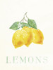 Clean Lemons Poster Print by Milli Villa # MVRC625A