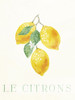 Clean Le Citrons Poster Print by Milli Villa # MVRC625B