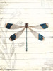 Dragonfly Look Poster Print by Milli Villa # MVRC628A