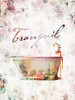 Vintage Tranquil Tub Poster Print by Milli Villa # MVRC642A