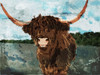 Hi Bull Poster Print by Milli Villa # MVRC645A