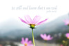 I Am God Poster Print by Mlli Villa # MVRC549A