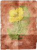 Flower Page Two Brown Poster Print by Mlli Villa # MVRC447B2