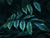 Teal Blue Leaves Poster Print by Milli Villa # MVRC339A2