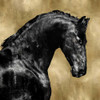Black Stallion on Gold Poster Print by Martin Rose # MRR113457