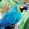 Tropical Views 2 Poster Print by Marcus Prime # MPSQ306A1