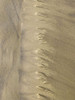 Sand Stripe V Poster Print by Grayscale Grayscale # MJMPAT00408