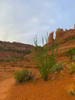 Sedona I Poster Print by Grayscale Grayscale # MJMNAT00156