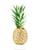 Green pineapple Poster Print by Braun Studio Braun Studio # MC1341