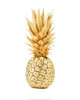 Gold pineapple Poster Print by Braun Studio Braun Studio # MC1340