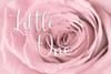 Little One    Poster Print by Lori Deiter # LD1953