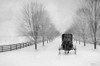 Snowy Amish Lane Poster Print by Lori Deiter # LD2055
