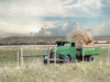 Hay for Sale Poster Print by Lori Deiter # LD1942