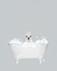 Alpaca Blue Bath Poster Print by Leah Straatsma # LSRC104A