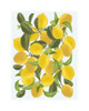 Lemons B Poster Print by Leah Straatsma # LSRC058