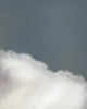 Head in the Clouds Poster Print by Leah Straatsma # LSRC139A