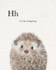 Baby Hedgehog Linen Poster Print by Leah Straatsma # LSRC008L1