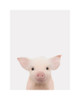 Piglet Gray Poster Print by Leah Straatsma # LSRC008N