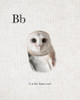 B Barn Owl Poster Print by Leah Straatsma # LSRC047B