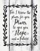 Plans to Give You Hope     Poster Print by Linda Spivey # LS1797