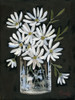 Daisies on Black Poster Print by Kate Sherrill # KS132