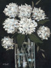 White Hydrangeas I Poster Print by Kate Sherrill # KS130