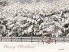 In the Midst of Winter   Poster Print by Lori Deiter # LD1588