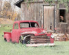Red and Rusty I    Poster Print by Lori Deiter # LD1656