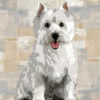 West Highland White Terrier Poster Print by Keri Rodgers # KG114645