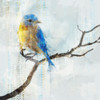 Little Blue Bird I  Poster Print by Ken Roko # KX080A