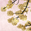 Gold Blossoms on Pink IV Poster Print by Kate Bennett # KTB116628