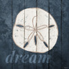 Dream Sanddollar Poster Print by Gigi Louise # KBSQ026B