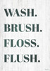Wash Brush Poster Print by Gigi Louise # KBRC036A