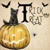 Trick or Treat Cat Poster Print by Kimberly Allen # KASQ2056