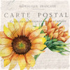 Sunflower Postcard 1 Poster Print by Kimberly Allen # KASQ2100A