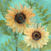 Sunflower Teal Poster Print by Kimberly Allen # KASQ2101A