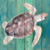 Sea Turtle Poster Print by Kimberly Allen # KASQ2021A