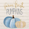 Farm Fresh Pumpkins Poster Print by Kimberly Allen # KASQ2017A