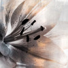 Golden Lights 1 Poster Print by Kimberly Allen # KASQ2007A