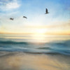 Sunrise Beach Poster Print by Allen Kimberly # KASQ1932