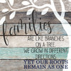 Family Roots Poster Print by Allen Kimberly # KASQ1824B