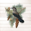 Winter Bird 3 Poster Print by Allen Kimberly # KASQ1785C