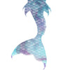 Little Mermaid 2 Poster Print by Allen Kimberly # KASQ1708B
