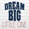Little One 2 Poster Print by Allen Kimberly # KASQ1662B